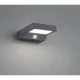 Fomosa fali lámpa antracit LED 340lm 3000K