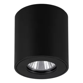 Torrecola Eglo-901028 kültéri mennyezeti lámpa