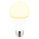 Led fényforrás Globo 10675K E27 RGB 5W 470lm 3000k