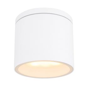 Alcala Globo 32063W kültéri mennyezeti lámpa