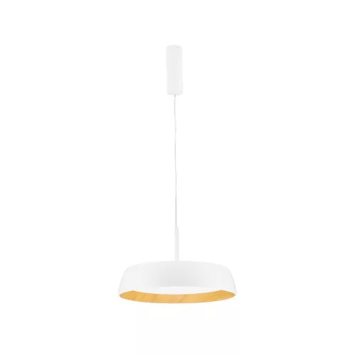 Sigi LED NL-9030506 függeszték