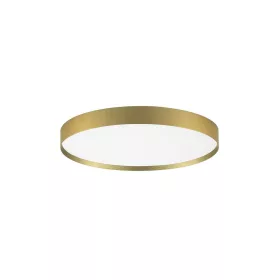Roi LED NL-9030536 mennyezeti lámpa