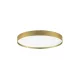 Roi LED NL-9030536 mennyezeti lámpa