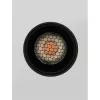 Datum LED NL-9030700 mennyezeti spotlámpa