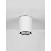 Lumina NL-9030845 kültéri mennyezeti lámpa 