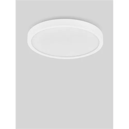 Cerium LED NL-9060993 mennyezeti lámpa