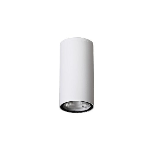 Ceci LED NL-9220021 kültéri mennyezeti lámpa