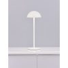 Rose LED NL-9281380 kültéri díszítés
