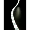 Bine Essential DALI-Triac NL-9540075 kültéri led szalag 3000K 1994lm 5m