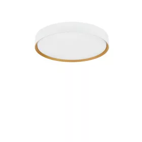 Binary LED NL-9540314 fürdőszobai mennyezeti lámpa
