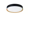 Binary LED NL-9540316 fürdőszobai mennyezeti lámpa