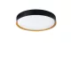 Binary LED NL-9540316 fürdőszobai mennyezeti lámpa