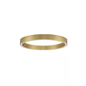 Sting LED NL-9558650 mennyezeti lámpa