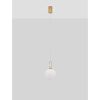 Hook LED NL-9695224 függeszték