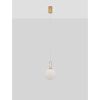 Hook LED NL-9695224 függeszték