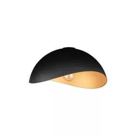  Opsi NL-9695302 mennyezeti lámpa