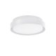 Oliver LED NL-9944602 kültéri mennyezeti lámpa