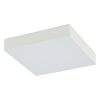 Lid Square LED Nowodvorski-10431 mennyezeti lámpa