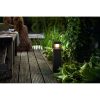 Parterre Philips 8718696158852 kültéri led állólámpa