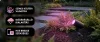 Lily Hue 8W IP65 kültéri led reflektor kiegészítő lámpa Philips 8718696167977