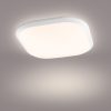 Cavanal Philips 8718696169308 led mennyezeti lámpa