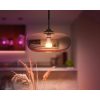 Hue E27 13.5W White And Color Ambiance led fényforrás Philips 8719514288157