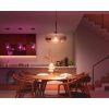 Hue E27 13.5W White And Color Ambiance led fényforrás Philips 8719514288157