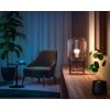 Hue E27 6.5W White And Color Ambiance 2db szett Philips 8719514328365