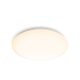 Moire CL200 Philips 8719514335110 mennyezeti lámpa