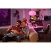 Flourish Hue 31W led függeszték  Philips 8719514343528