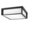 Skies Philips 8719514385320 kültéri fali lámpa