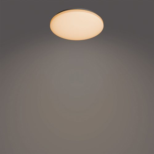 Izso Philips-8720169196070 mennyezeti lámpa