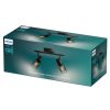 Palms Philips-8720169299290 spotlámpa