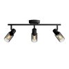 Palms Philips-8720169299313 spotlámpa