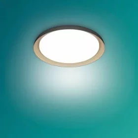 Pebblo Philips-8720169301092 mennyezeti lámpa