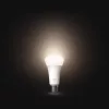  Hue E27 14W White Philips-8720169363885 