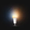  Hue E27 12W White Ambiance Philips-8720169364288 