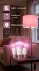  Hue E27 6W White And Color Ambiance Philips-8720169364424 3db szett 
