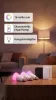  Hue E27 5W White And Color Ambiance Philips-8720169374508 kezdőcsomag 