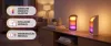 Play Hue  Philips-8720169385931 falmosó szett