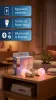  Hue Essential E27 8W White and Color Philips-8720169392243 2db szett 