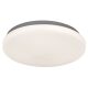 Rob LED mennyezeti 20W Rabalux 2284