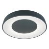 Ceilo led mennyezeti lámpa Rabalux 3082