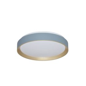 Liatris2 Rabalux-71185 mennyezeti lámpa