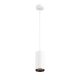 Numinos Pd Phase L SLV 1004344 függeszték 2700K 60°