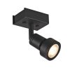 Puri 1 Wall And Ceiling Light SLV 147360 spotlámpa