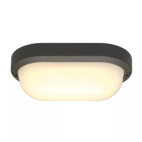 Terang 2 SLV 229935 kültéri fali lámpa