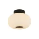 Lumina Searchlight-10271-1BK mennyezeti lámpa