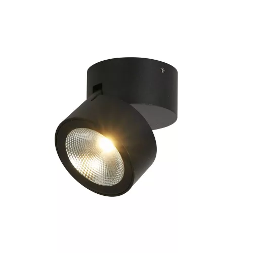 Manhattan Searchlight-39330BK kültéri mennyezeti