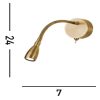 Flexy Wall Searchlight-9917SB falikar
